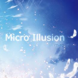 Micro Illusion